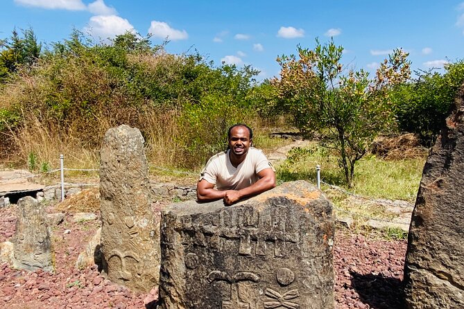 Day Trip to Adadi Rock and Tiya Archeological Excursion - What the private format adds