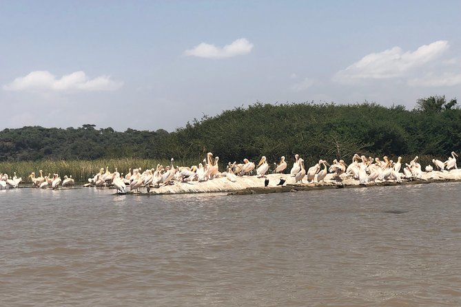 Day Trip To Lake Ziway - Lunch, water, and the value of a private vehicle