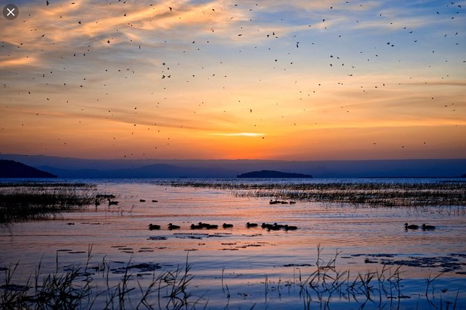 Day Trip To Lake Ziway - Who will enjoy this Lake Ziway outing