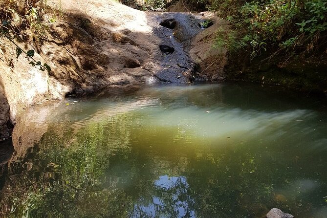Day Trip to Menagesha Suba Forest from Addis Ababa - How much value do you get for $130?