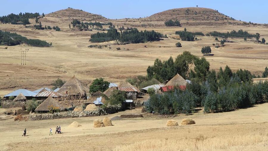 Day Trip To See Monastrys,Amazing landscapes & Animals - The road northwest from Addis Ababa