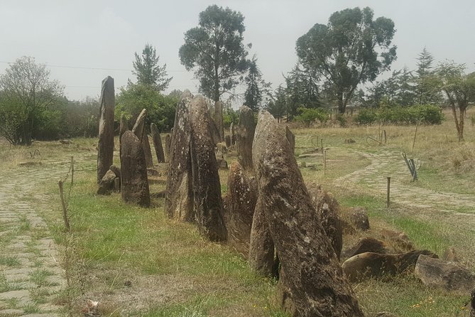 Day Trip to Tiya UNESCO Site & Melka Kunture Archaeological Site - Two very different chapters of Ethiopia’s past