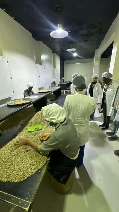 Ethiopia coffee cupping class/Ethiopian food injera making - What to know before you go