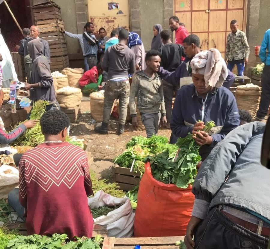 Ethiopian Culinary Tour - Market, Coffee Ceremony and More - Who Should Book This Addis Ababa Food Tour?