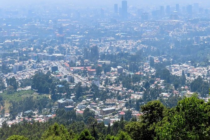 Every day Addis Ababa City Tour - What the guide and vehicle arrangement adds