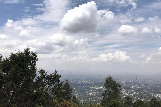 Full Day Addis Abeba City Tour - What the $110 price really includes