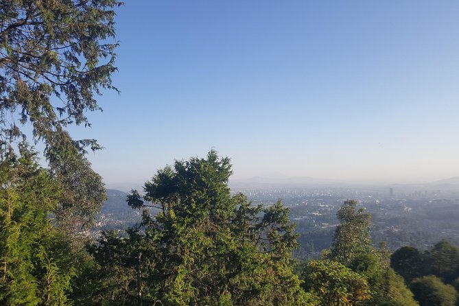 Full Day Tour of Addis Ababa with Hotel Pickup and Drop-off - Mount Entoto for the best city views
