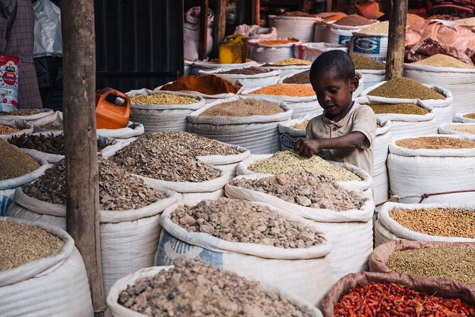 Full & Half Day City Tour Of Addis Ababa - Holy Trinity Cathedral and Haile Selassie’s memorial