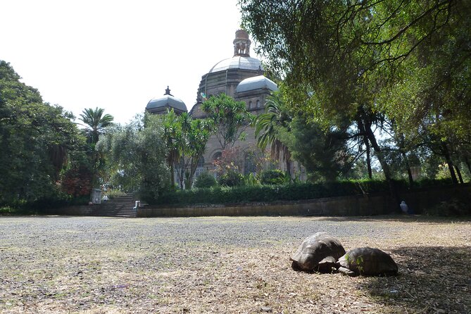 Hidden Treasures of Addis Ababa - Food, Culture and History Tour - Key points at a glance