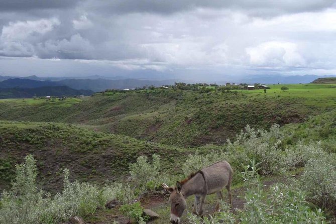 Lalibela churches Guided Tour - Coffee, Tea, and an Ethiopian Evening