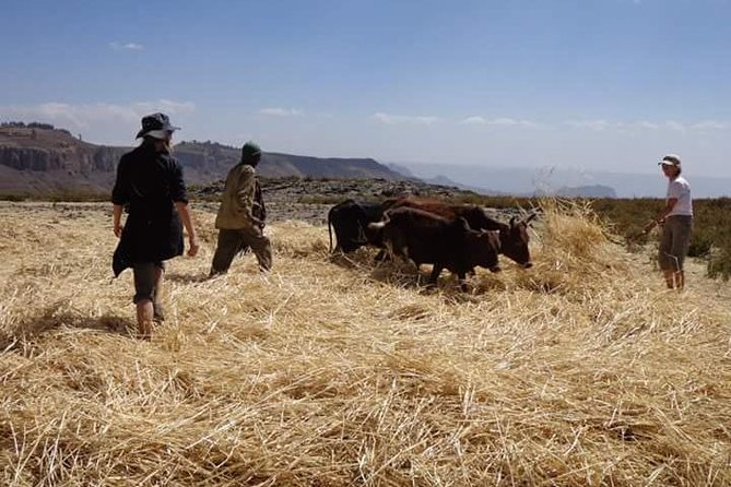 Lasta Mountains: Highland Eco Trekking Tour in Lalibela - Group size, guides, and communication