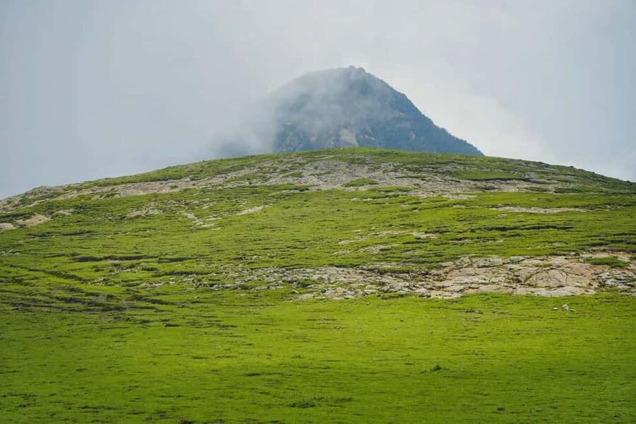 Mogle Mountain Hiking For Birding, Natures From Addis Ababa - Hiking Mount Mogle at 3,100 meters