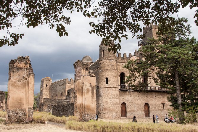 Northern Ethiopia Historic Route - Day two on Lake Tana: churches, water, and wildlife