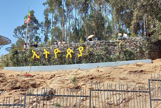 Prepare for the Best Day Tour in Addis Ababa - A coffee pause at Tomoca