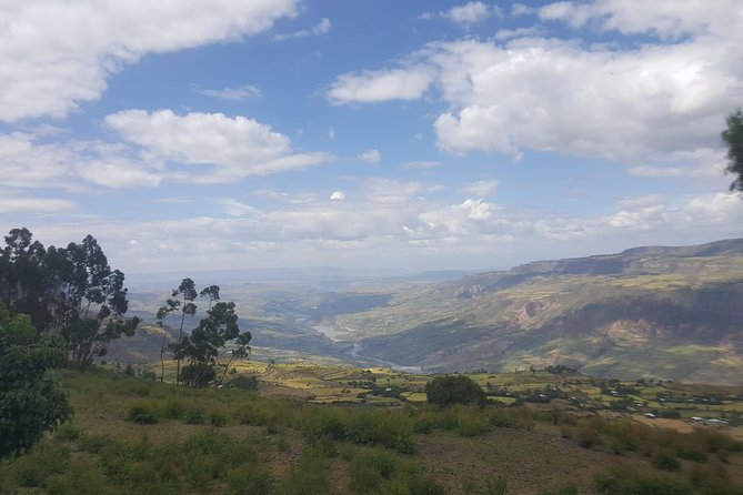 Private Day Trip to Debre Libanos Portuguese Bridge Galada Baboon - Optional shopping and Addis Ababa history