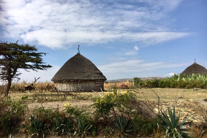Private Full-Day Stone Age and Medieval Tour from Addis Ababa - Adadi Mariam: A Rock-Hewn Church in the Countryside