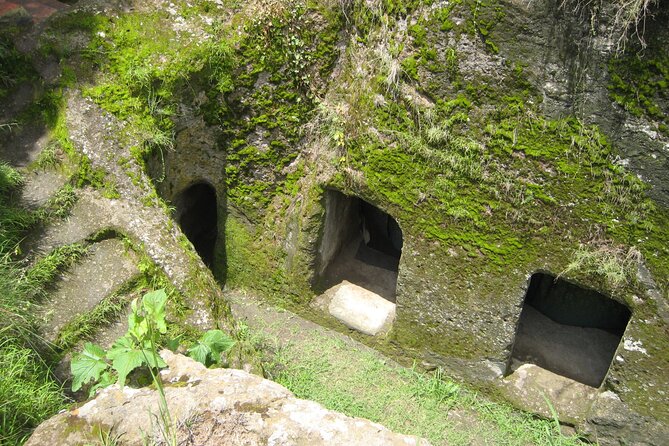 Private Full-Day Stone Age and Medieval Tour from Addis Ababa - Why a Private Vehicle Makes Sense