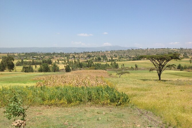 Private Full-Day Stone Age and Medieval Tour from Addis Ababa - Tiya: Standing Stones and Open Questions
