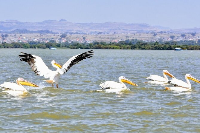 Private Guided Tours To Bahir Dar Lake Tana Monastery & Blue Nile Waterfalls - Driving to Tis Isat and Blue Nile Falls