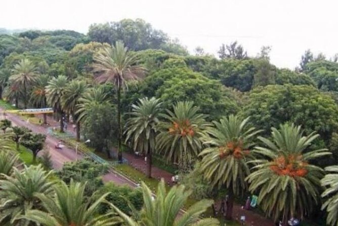 Private Guided Tours To Bahir Dar Lake Tana Monastery & Blue Nile Waterfalls - Is $145 per person a fair price?