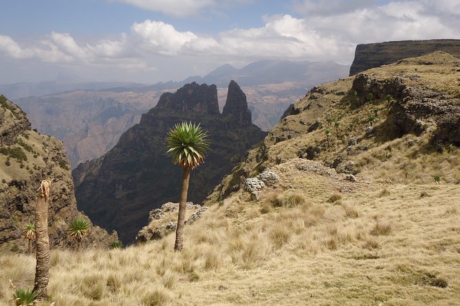 Simien Mountains National Park – 7 Day Trek - Day 6: Mekarebya to Mulit across the Insya River