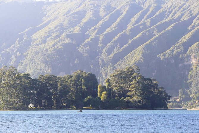 Stunning Views Wonchi Crater Lake a Private Day Trip - Birdlife, colobus monkeys, and the quieter details