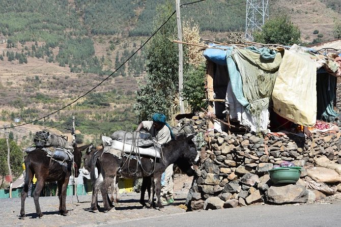 The Best way to Discover Addis Ababa - Mount Entoto gives you the city’s first lesson