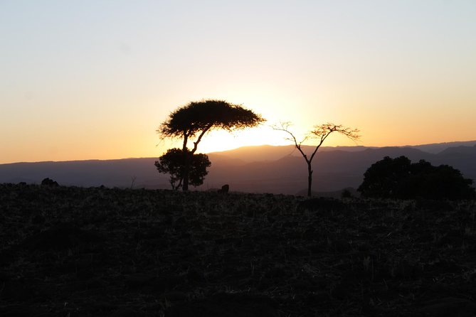 The Rock-Hewn Churches of Lalibela: 3 Days / 2 Nights - What the $240 price covers