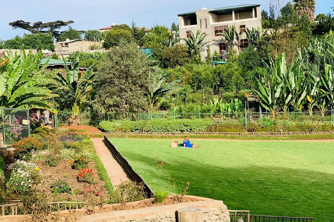 Walking Tour of Addis Abeba - Discover Addis the Authentic way - How much walking and transport should you expect?